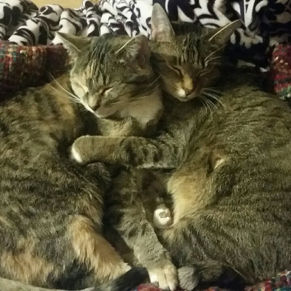 Meet your Posher, Jessica - Picture 6 of 7